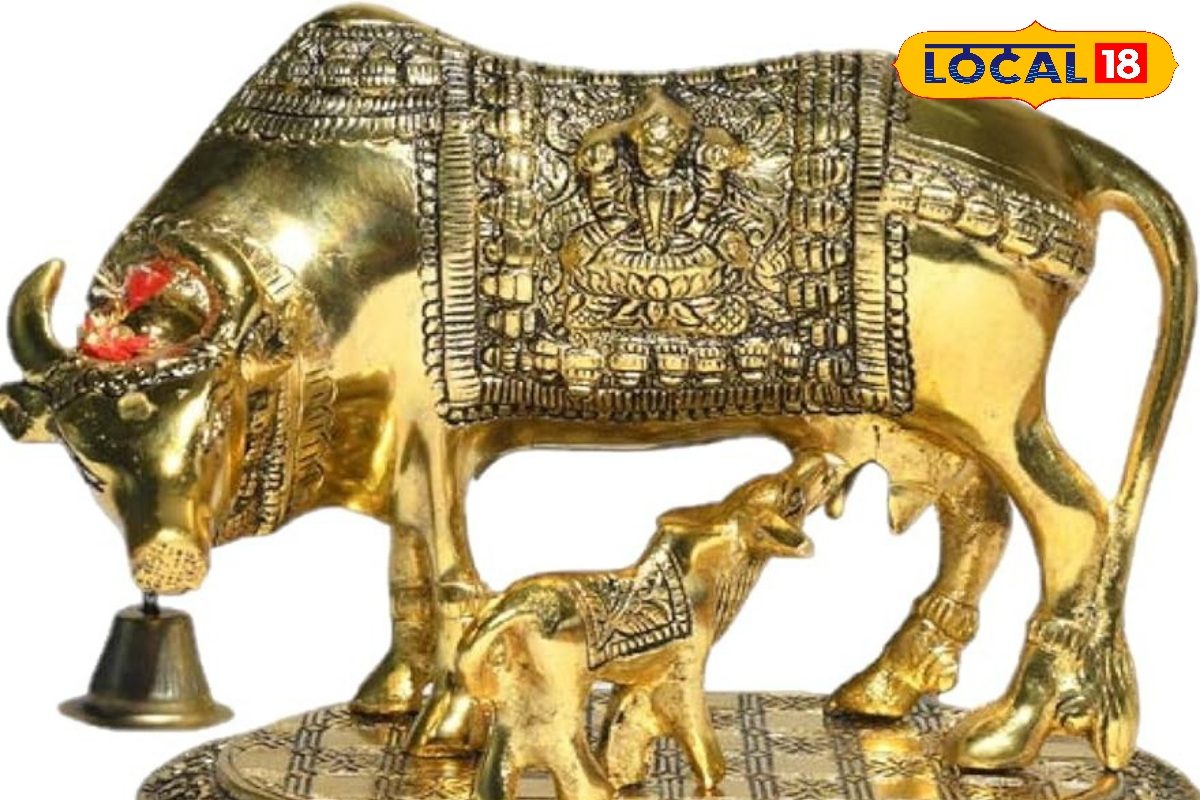 नया साल में चाहिए तगड़ी कमाई, आज हीं अपने घर ले लाएं ये खास चीजें