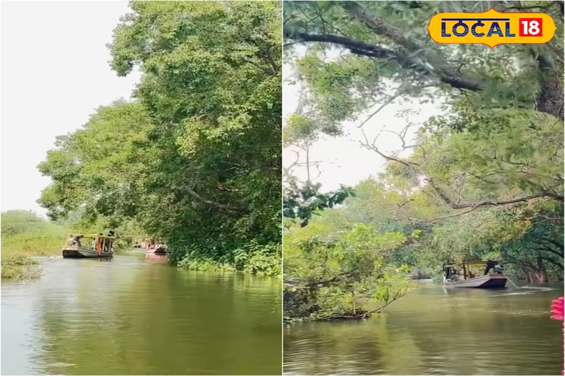 मिनी अमेज़न 