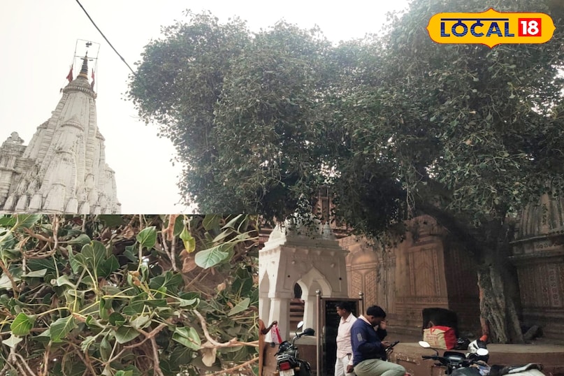 कृष्ण वट