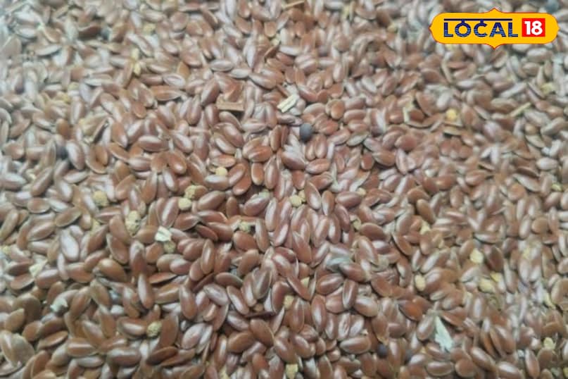 अलसी अलसी