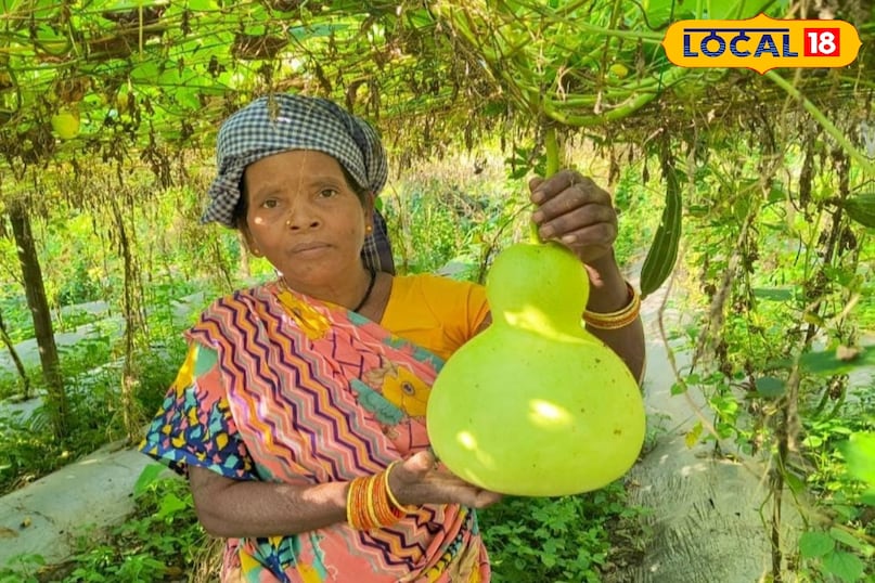 Cultivation of vegetables in three acres of land