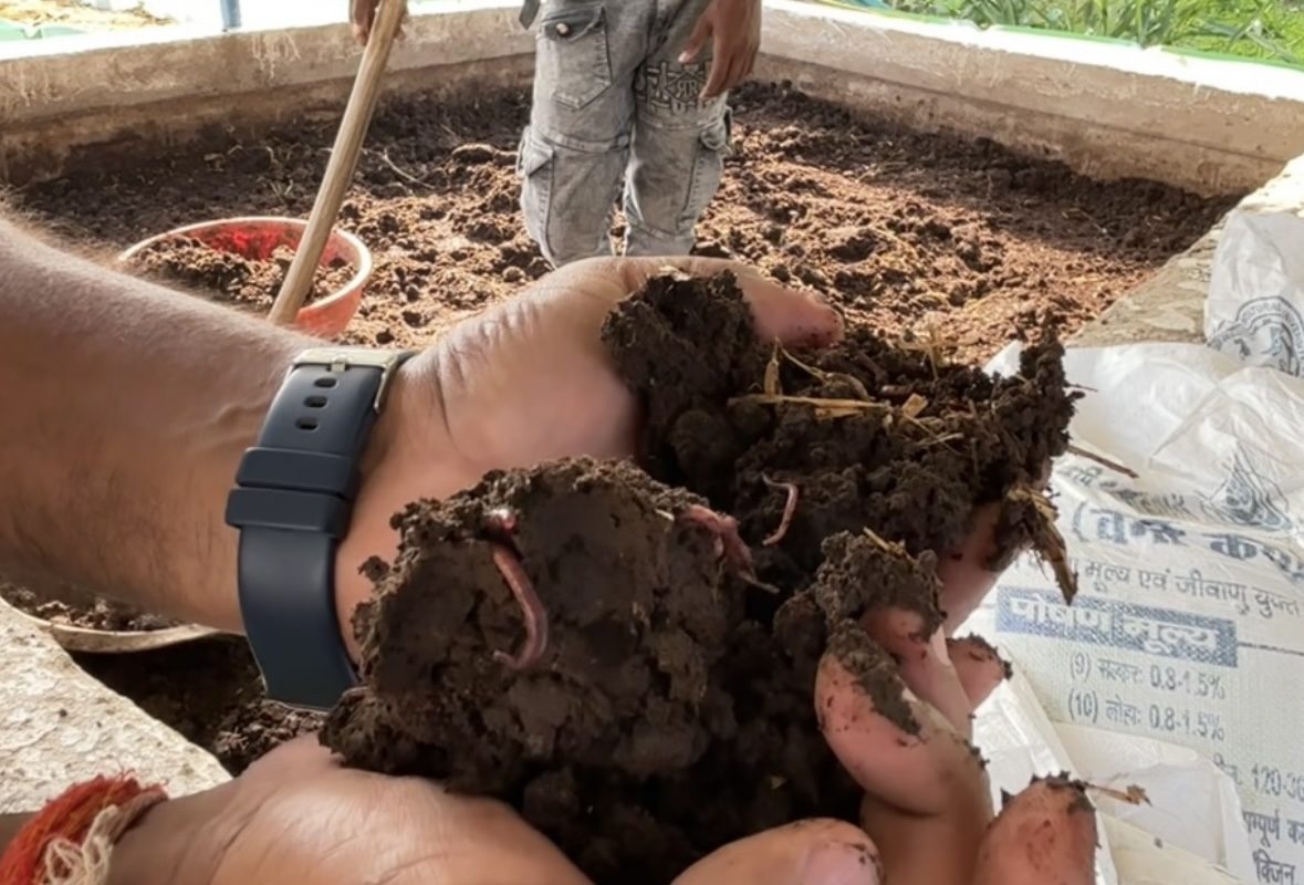 यह जीव बहुत तेजी से बनाएगा खाद, 'जय गोपाल' का चल रहा है ट्रायल