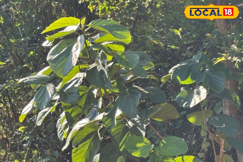 Remaining relevant even in the modern era Remaining relevant even in the modern era