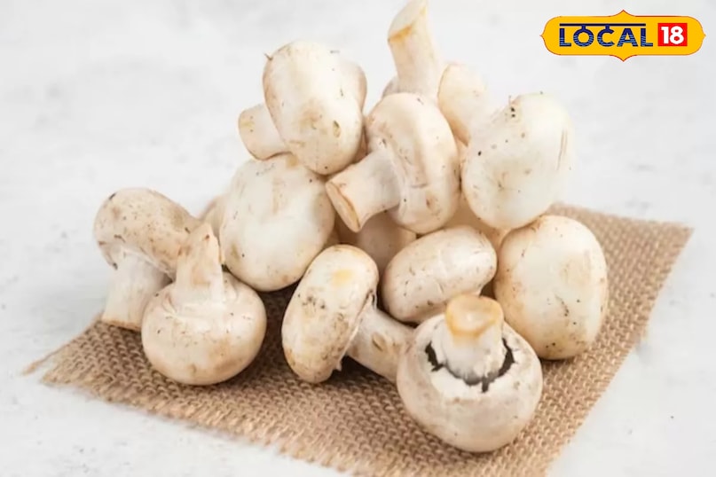 How to Make Nutritious Mushroom Soup Simple Home Recipe