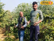 सुल्तानपुर के ये टॉप किसान! कोई उगा रहा स्ट्रॉबेरी, कोई शिमला, लाखों में कमाई