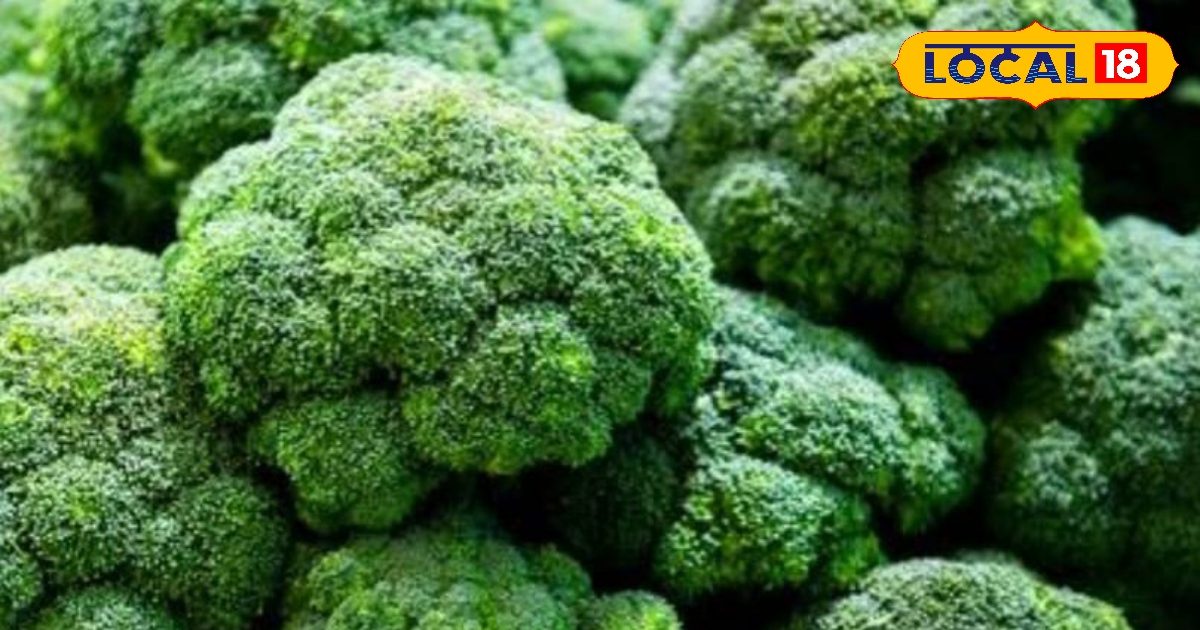 Health tips : ये सब्जी सर्दियों की दुश्मन, इन तत्वों से भरपूर, सेहत के लिए चमत्कारी