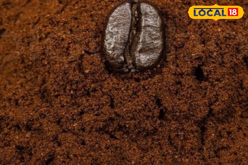 कॉफी पाउडर 