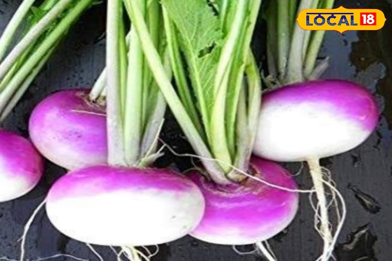 शलजम शलजम