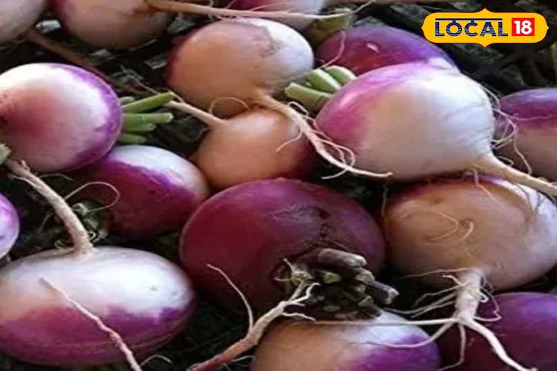 शलजम शलजम