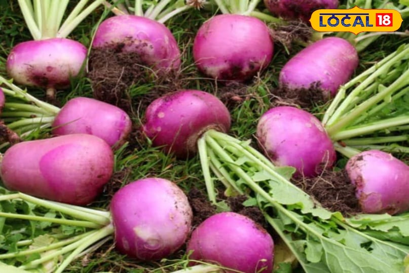 शलजम शलजम