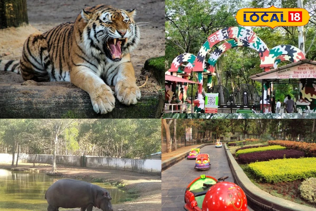 सर्दियों में घूमने की प्लानिंग? पर्यटकों की फेवरेट बिलासपुर की ये जगह, मिलती..