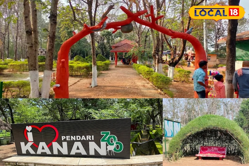 ठंड में घूमने वालों की पहली पसंद बना कानन पेंडारी जू, बढ़ रही है पर्यटकों की भीड़ ठंड में घूमने वालों की पहली पसंद बना कानन पेंडारी जू, बढ़ रही है पर्यटकों की भीड़