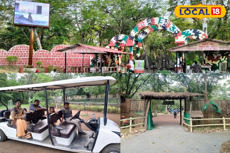 ठंड में घूमने वालों की पहली पसंद बना कानन पेंडारी जू, बढ़ रही है पर्यटकों की भीड़ ठंड में घूमने वालों की पहली पसंद बना कानन पेंडारी जू, बढ़ रही है पर्यटकों की भीड़