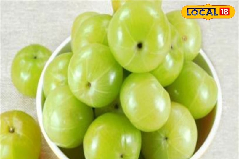 सर्दी मे जरूर सेवन करना चाहिए आंवला सर्दी मे जरूर सेवन करना चाहिए आंवला