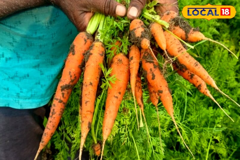 gajar making tips & tricks gajar making tips & tricks