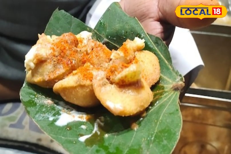 Maalu Leaf Uttarakhand Maalu Leaf Uttarakhand