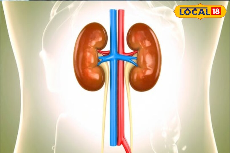 किडनी की सुरक्षा भिंडी का पानी किडनी को नुकसान पहुँचाने वाले विषैले पदार्थों से बचाता है। यह किडनी को स्वस्थ रखने और उसके बेहतर तरीके से काम करने में मदद कर सकता है। 