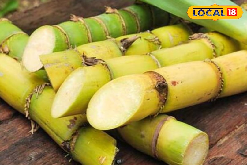 गन्ना गन्ना