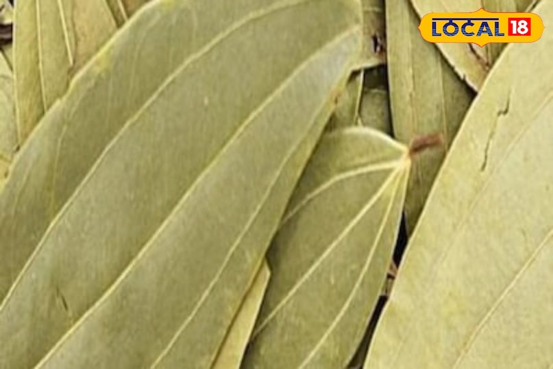 Moradabad news,hindi news,up news,local news,मुरादाबाद समाचार, हिंदी समाचार, यूपी समाचार,लोकल समाचार।