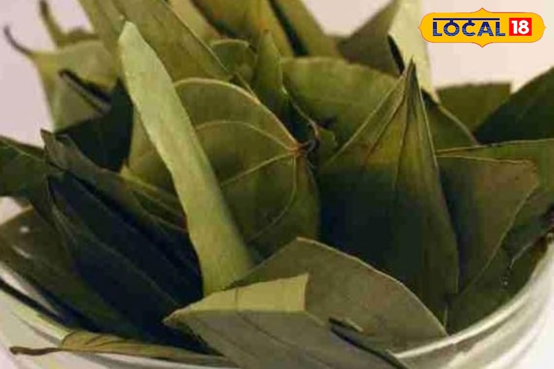 Moradabad news,hindi news,up news,local news,मुरादाबाद समाचार, हिंदी समाचार, यूपी समाचार,लोकल समाचार।