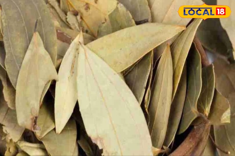 Moradabad news,hindi news,up news,local news,मुरादाबाद समाचार, हिंदी समाचार, यूपी समाचार,लोकल समाचार।