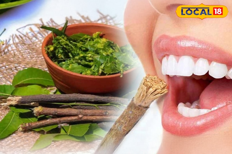 साफ दांतों का देसी फॉर्मूला,नीम की दातून फिर हो रही ट्रेंड में