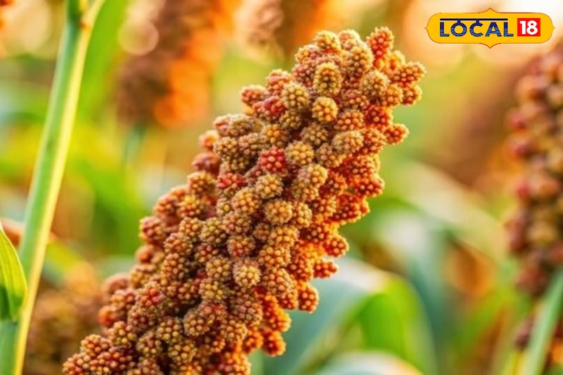 maduwa in changing time maduwa in changing time