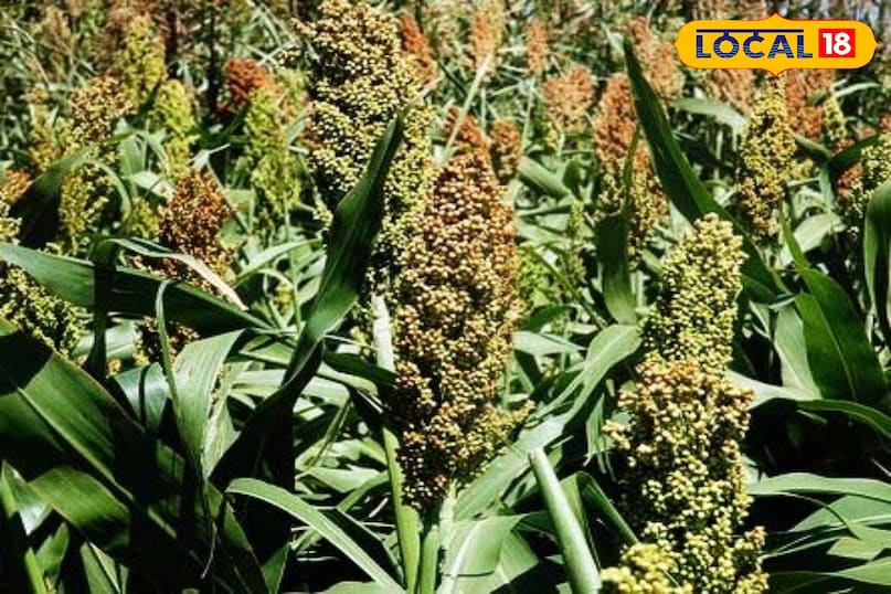 why maduwa is special for the farmers why maduwa is special for the farmers