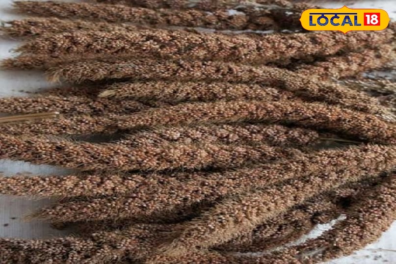 message for today's generation message for today's generation