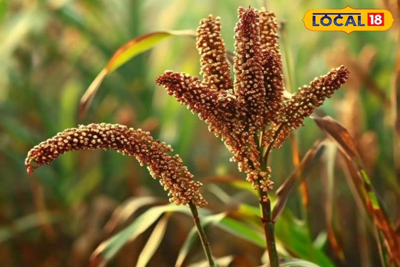 health benefits health benefits