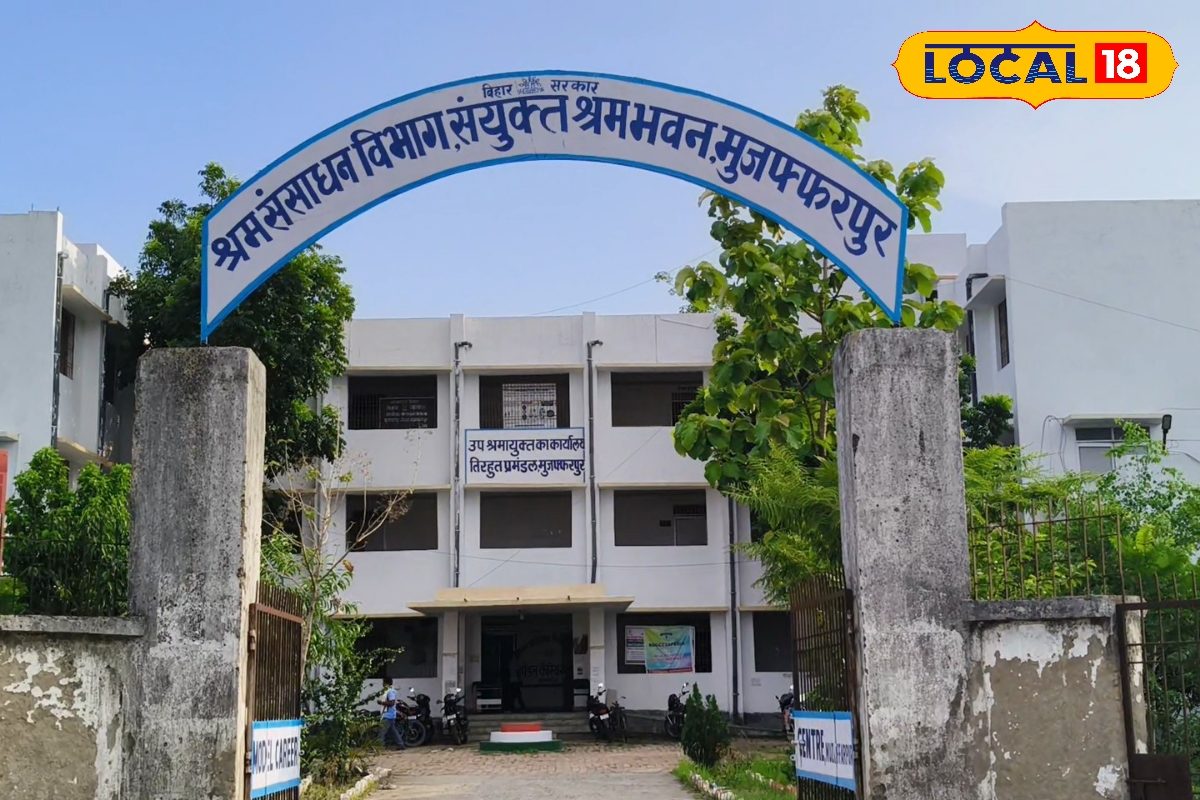 युवाओं के लिए सुनहरा मौका, 21 को आयोजित होगा जॉब कैंप, 110 पदों पर बहाली