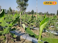 सिर्फ केले से लाखों! सुल्तानपुर के ये 5 किसान कैसे बने मिसाल? पढ़िए कहानी