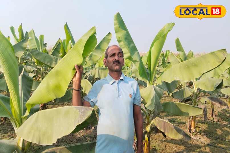 कृष्ण कुमार सिंह 