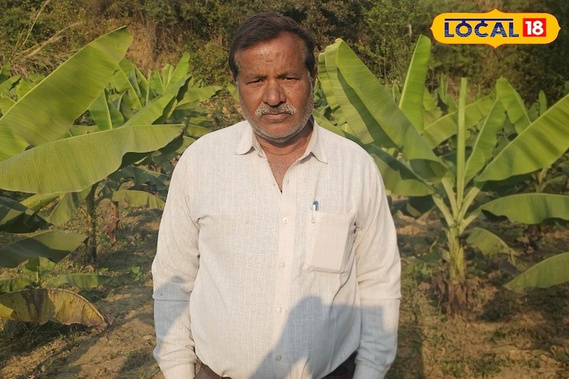 krishna kumar mishra banana farmer 