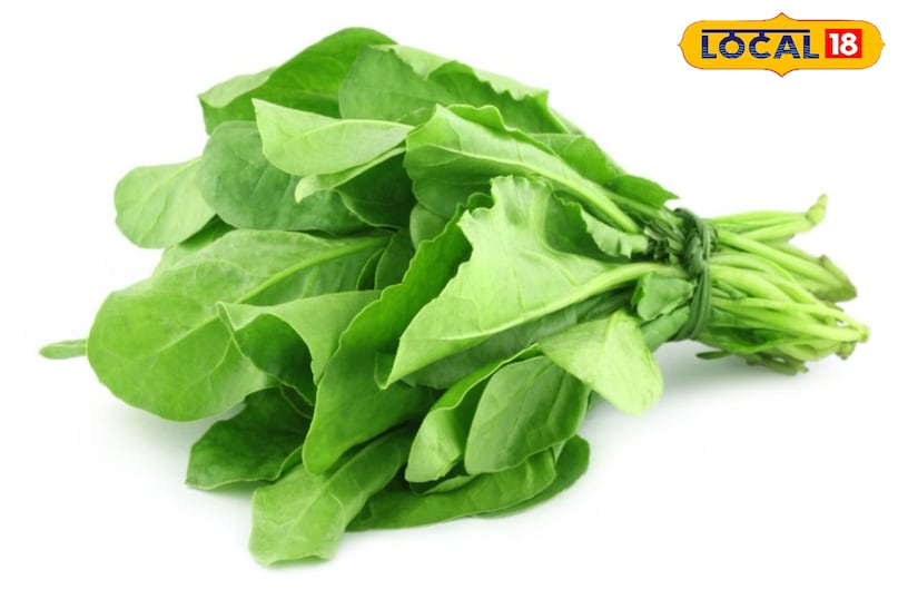 सर्दियों में ये सब्जियां खाएं, तासीर गर्म, सेहत बेहतरीन! सर्दियों में ये सब्जियां खाएं, तासीर गर्म, सेहत बेहतरीन!