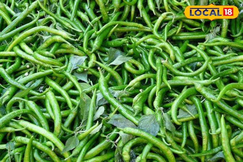 सर्दियों में ये सब्जियां खाएं, तासीर गर्म, सेहत बेहतरीन! सर्दियों में ये सब्जियां खाएं, तासीर गर्म, सेहत बेहतरीन!