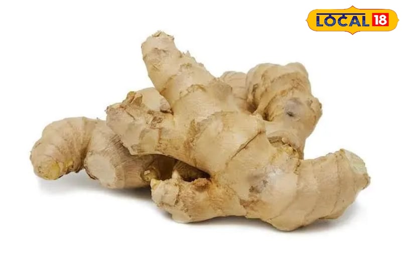 सर्दियों में ये सब्जियां खाएं, तासीर गर्म, सेहत बेहतरीन! सर्दियों में ये सब्जियां खाएं, तासीर गर्म, सेहत बेहतरीन!