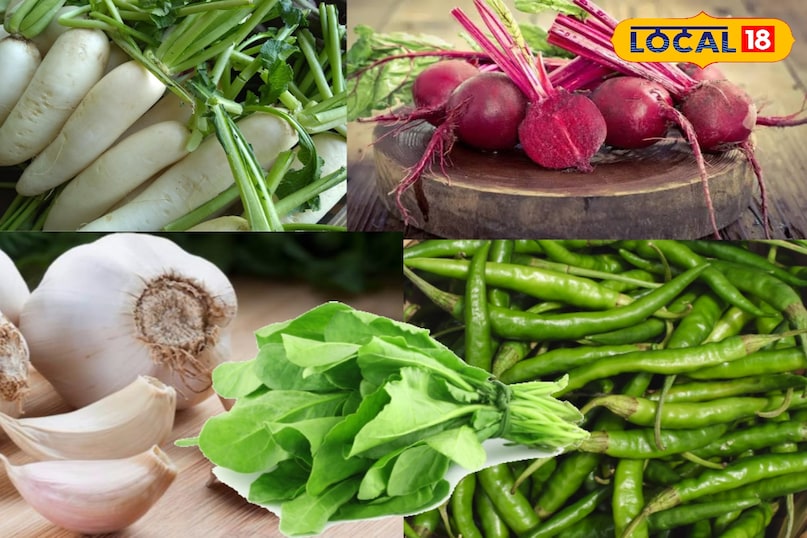 सर्दियों में ये सब्जियां खाएं, तासीर गर्म, सेहत बेहतरीन! सर्दियों में ये सब्जियां खाएं, तासीर गर्म, सेहत बेहतरीन!