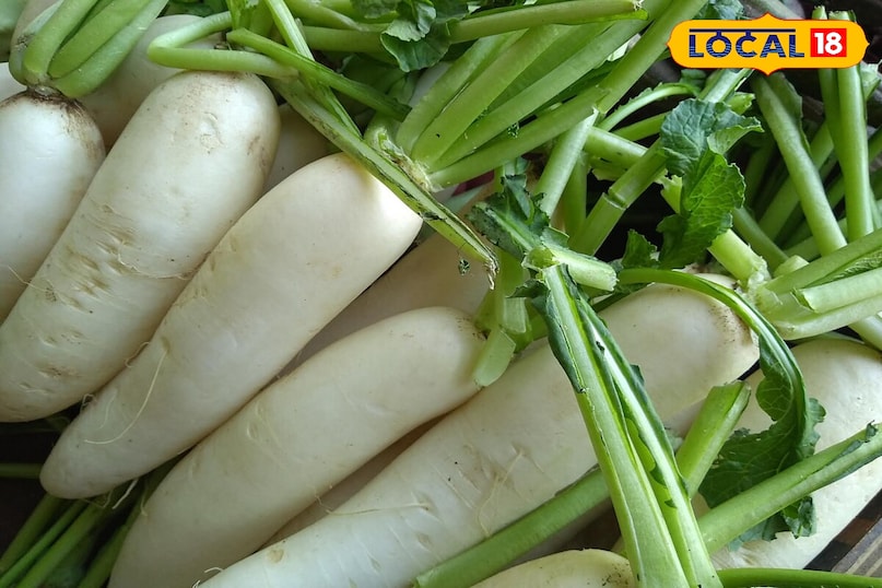 सर्दियों में ये सब्जियां खाएं, तासीर गर्म, सेहत बेहतरीन! सर्दियों में ये सब्जियां खाएं, तासीर गर्म, सेहत बेहतरीन!