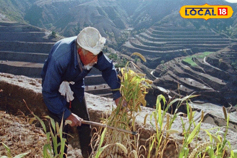 the simplicity of mountains 