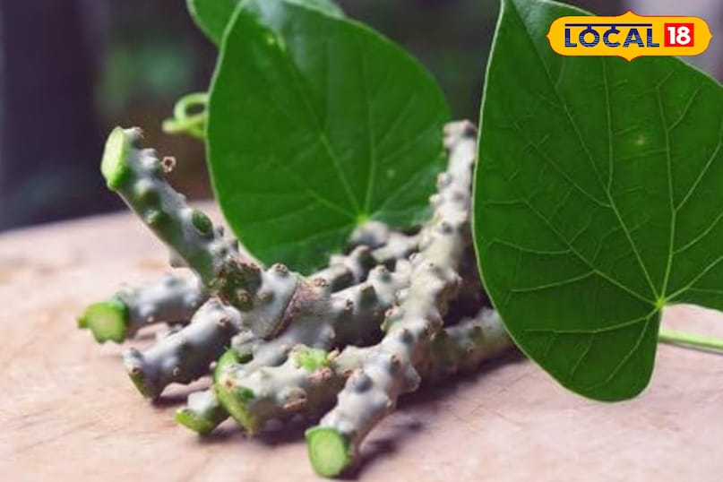 Tulsi, ginger and black pepper increase the effect of the decoction. 