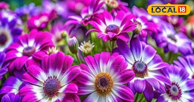 गार्डेनिंग टिप्स 