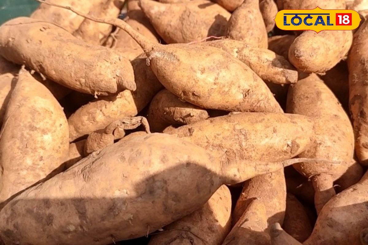 बस्तर के 5 सुपरफूड कांदे, सेहत और परंपरा का ऐसा संगम कहीं नहीं