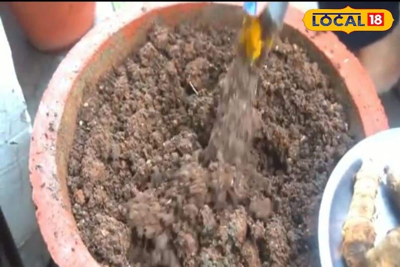 सबसे पहले एक बड़ा गमला ले 