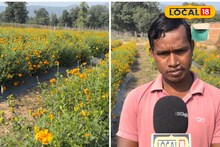 इस पीले फूल की खेती से लाखों की कमाई, कमाल है छबिलाल का मुनाफा फार्मूला