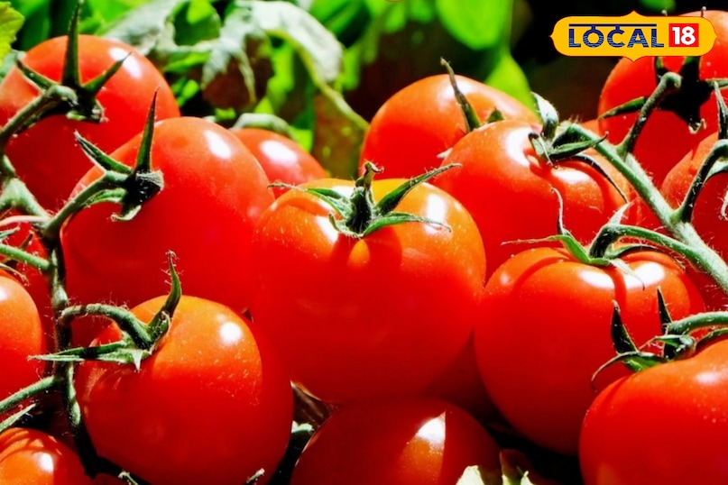 tomato recipe 