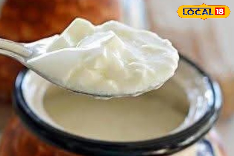 दही खाने का सही समय