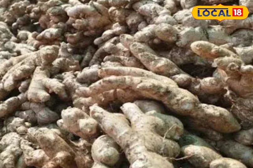 लाभ के साथ हानिकारक भी 