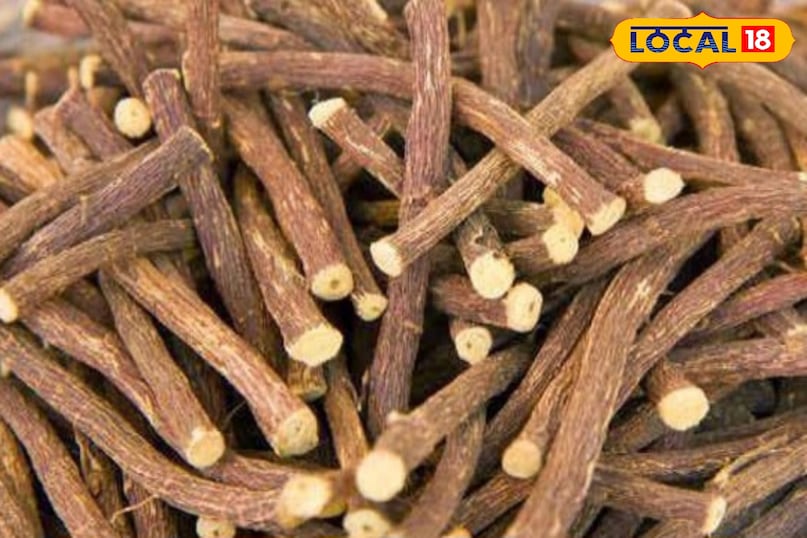 Tea and decoction made from licorice are very popular in winters.