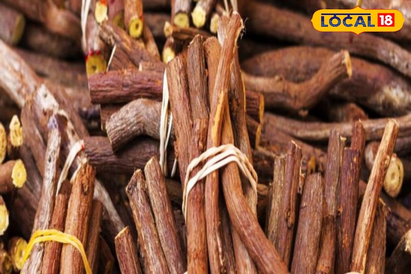 Licorice is also beneficial in hoarseness of voice.